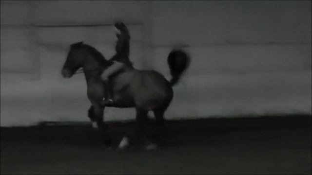 полупируэт галоп смотреть онлайн