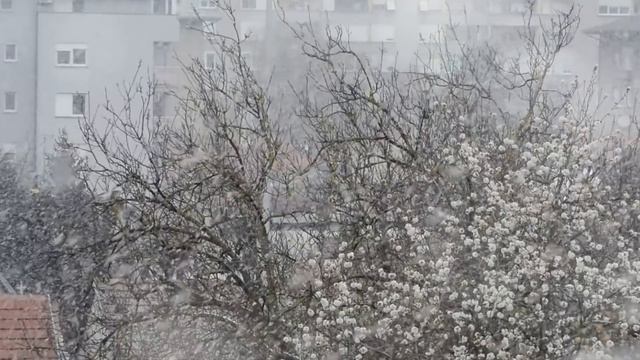 Бросила мужа ради мужчины опытней в постели, а потом... смотреть онлайн