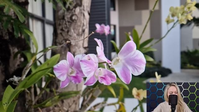 Твой муж женился и продал квартиру, пока тебя не было. Маша оцепенела от слов соседки... смотреть онлайн