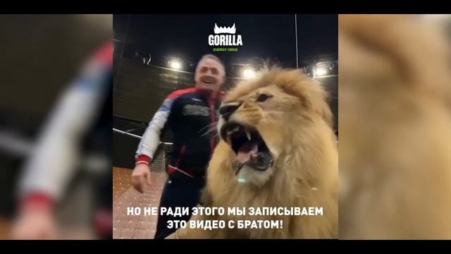 Хабибу предложили побороться со львом смотреть онлайн