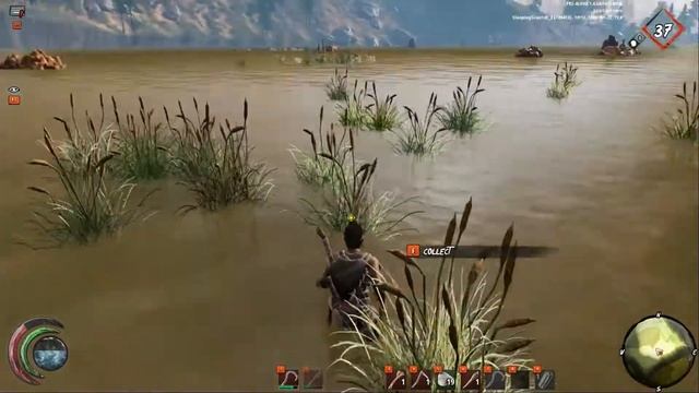 Last Oasis - Where to find Cattail and harvest - Walk Through - Guide - Quick Video - PC смотреть онлайн