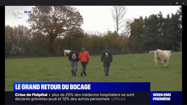 HAIE_Bocage_Normandie_ciral смотреть онлайн