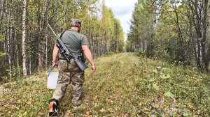 ГРИБНИК НАШЕЛ НЕ ТРОНУТЫЙ ЛЕС, ПОЛНЫЙ ГРИБОВ ГРУЗДЕЙ И ЯГОД. СБОР ДАРОВ ПРИРОДЫ ОСЕНЬЮ.