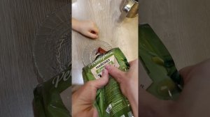 поездка в Питер