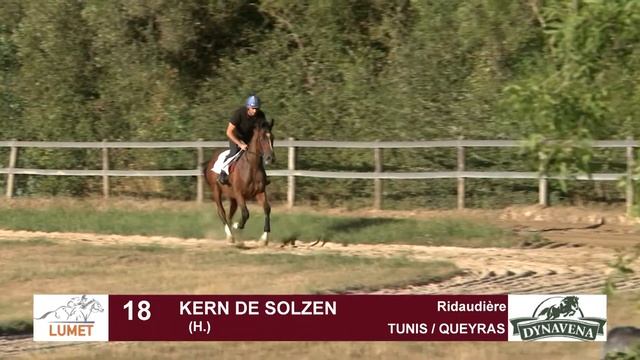 Lot 18 KERN DE SOLZEN H20 смотреть онлайн