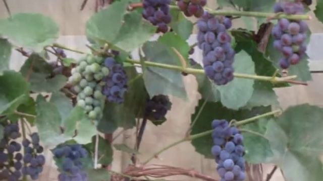 Путешествие в Башкортостан