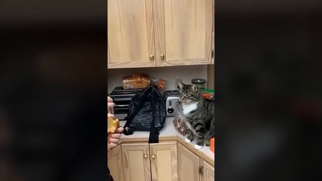 Жaднaя бaбищa смотреть онлайн