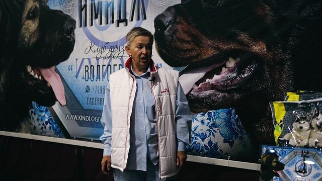 Корм для домашних животных Bisko смотреть онлайн