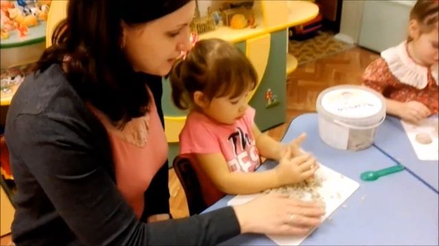 ДОУ№25РИП2017