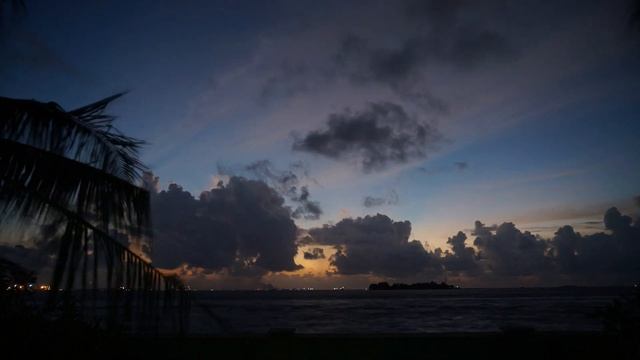 Party night in the Maldives... we need more female pilots!! смотреть онлайн