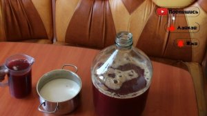 Домашнее вино из сливы - простой рецепт приготовления. Часть 2