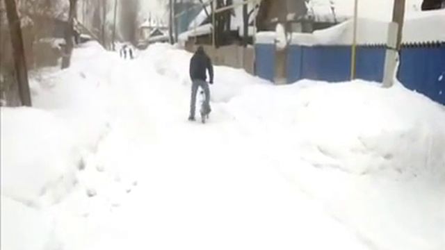 я на лисипеде. смотреть онлайн