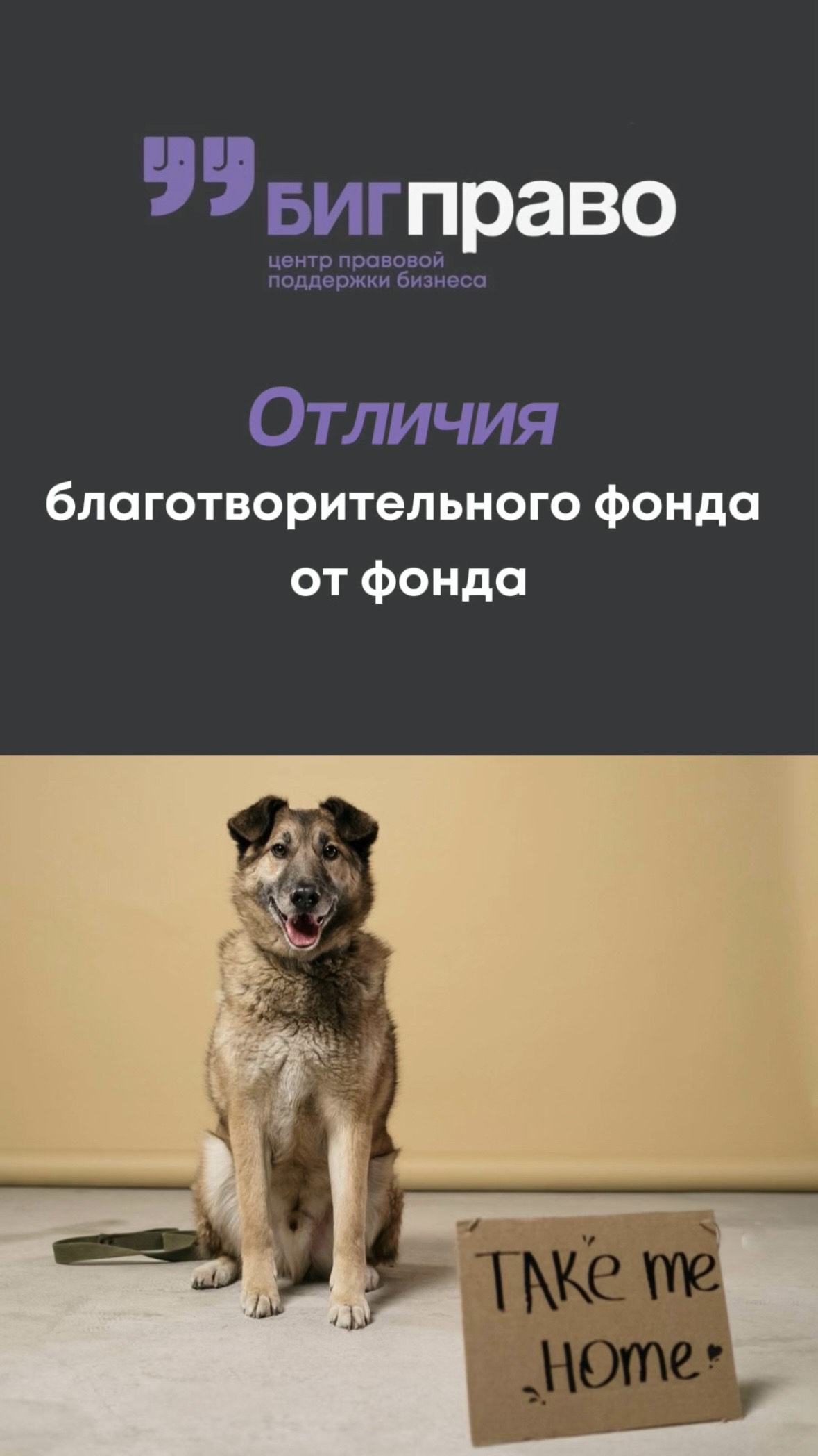 Отличия благотворительного фонда от фонда