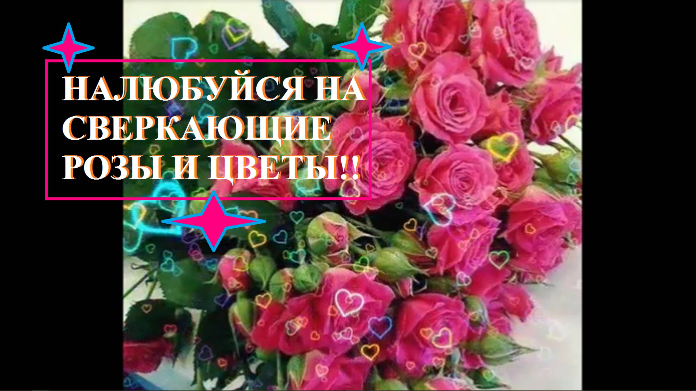 НАЛЮБУЙСЯ НА СИЯНИЕ РОЗ, они тебя любят смотреть онлайн