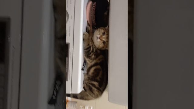 Любительница ванн:) смотреть онлайн