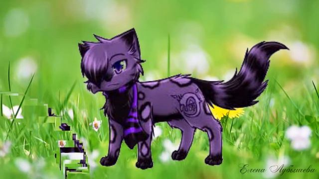 ПЕРВЫЕ ШАГИ В ПРОШОУ. смотреть онлайн