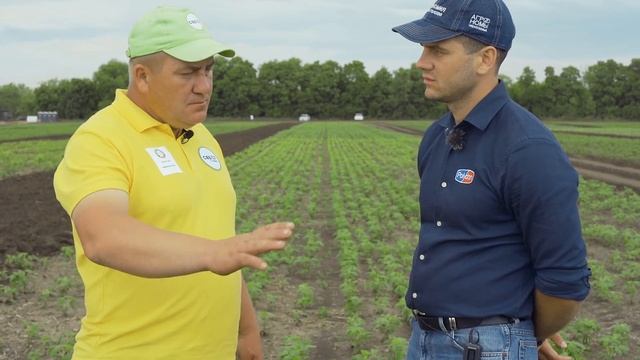 Агрополигон "Приволжье": почему это СТОИТ увидеть? смотреть онлайн