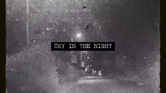 Ash Andrade - Cry In The Night ( Camera Roll Music Video 2021) | Edited on Inshot смотреть онлайн