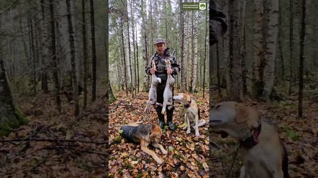 Охота на зайца продолжается! +18 смотреть онлайн