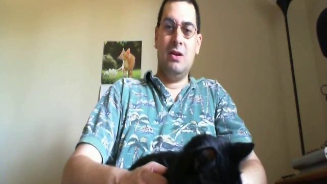 Panther TEK Computer Repair Talks About Black Cat Adoption Month смотреть онлайн