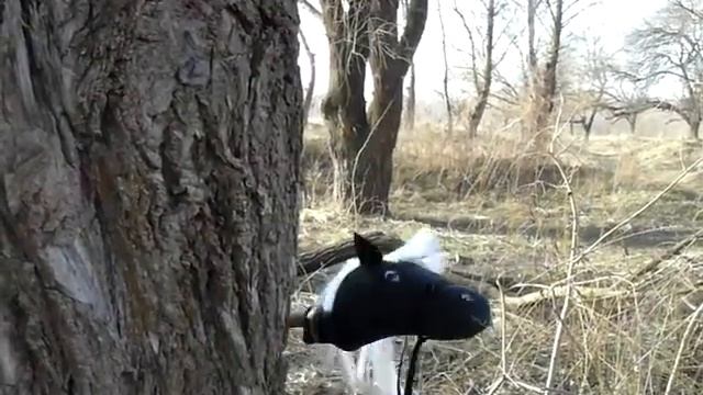 Богатырский конь смотреть онлайн