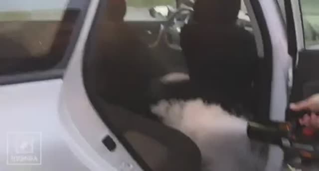 Обработка авто сухим туманом