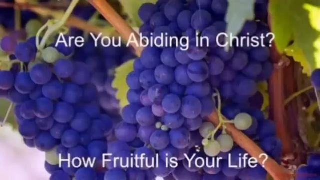 CATHOLIC MEDITATION: Wednesday - 10 May, 2023. (5th week - Easter, Year A). смотреть онлайн