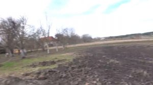 VLOG Нам влетели в забор  У нас приплод