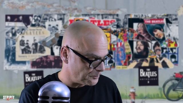 The Beatles Vinyl Collection 