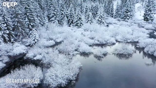 Deep House Mix 2024 | Deep House, Vocal House, Nu Disco, Chillout Mix by Deep Mixes #14 смотреть онлайн