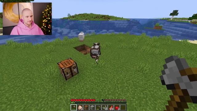 ESSEN macht dich FETTER in Minecraft смотреть онлайн
