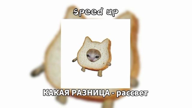 КАКАЯ РАЗНИЦА - рассвет #speedsongs #SPEEDUP #loveME
