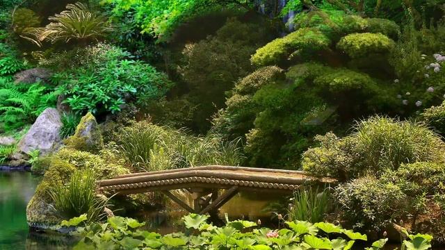 174 Hz 417 Hz 741 Hz ☯ The Best Chinese Music ☯ Relax and Balance Positive Qi/Chi Energy ☯ Flute смотреть онлайн
