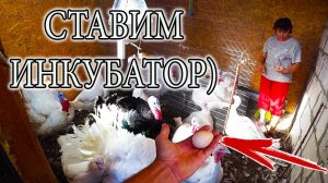 НАШИ «КУРОЧКИ» НАЧАЛИ НЕСТИСЬ