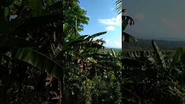 LIVE! Bukid Walking ! Good Morning Philippines 🌅🌄🇵🇭 смотреть онлайн