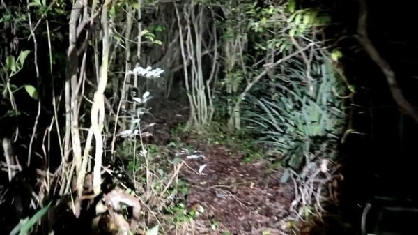 CASAL FOI ENCONTRADO SEM VIDA NA GRUTA DO TERROR!