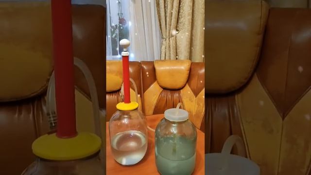 вкусняха #настойки