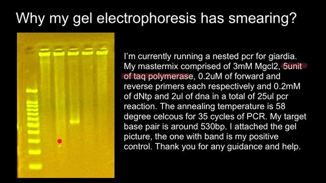 What taq polymerase 1 unit means? смотреть онлайн