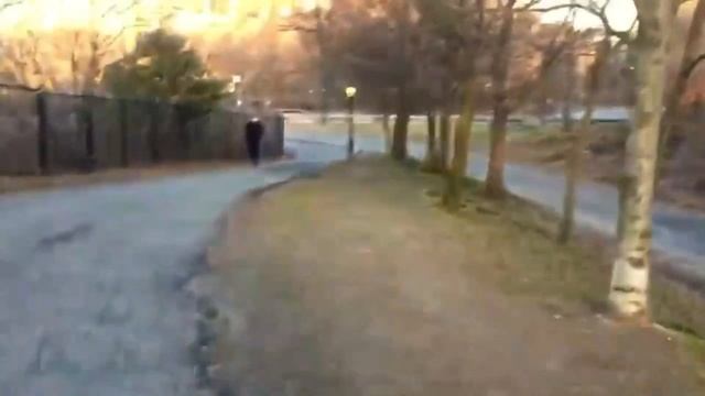 NYC Central Park on the last day of Winter- Solace in the Pandemic смотреть онлайн