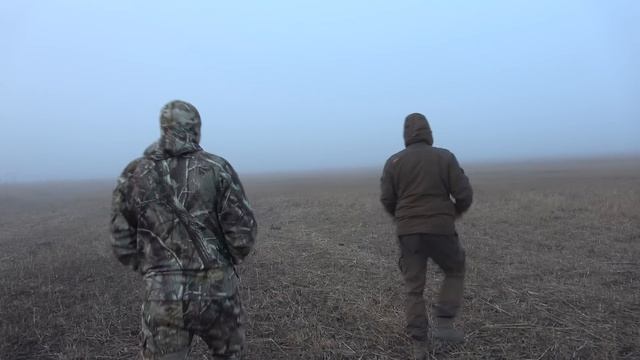 Охота в Астрахани на шакалов, волков и лебедей смотреть онлайн