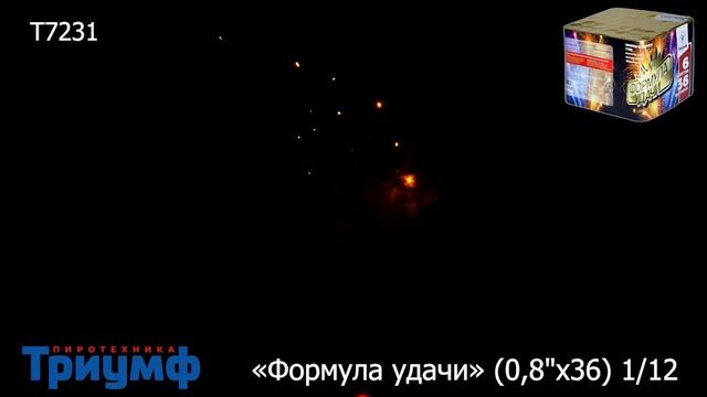 T7231 смотреть онлайн