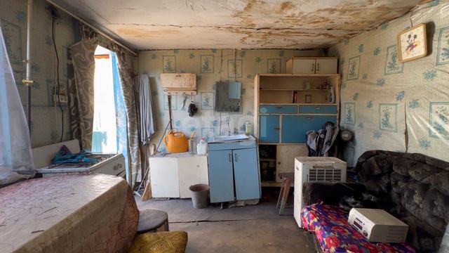 11513571 смотреть онлайн