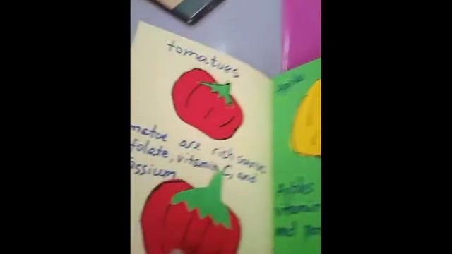 STEM деген эмне?