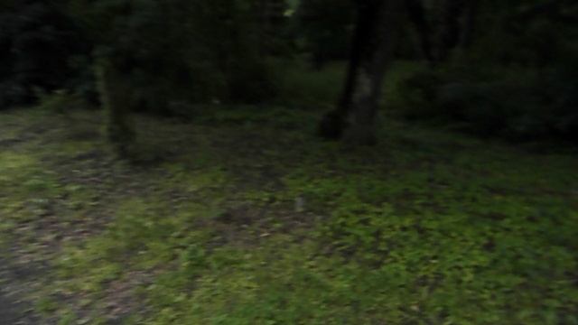 DSCN4086 Терский конный завод,Железноводск