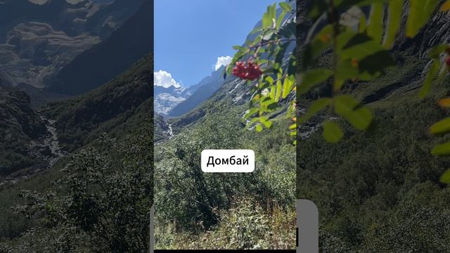 Идеи однодневных походов смотреть онлайн