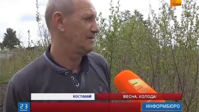 В Казахстан идут холода смотреть онлайн