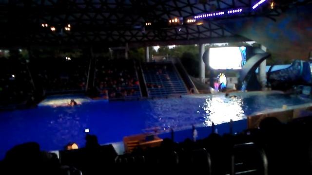 SHAMU LIGHT SHOW @ SEA WORLD LAST YEAR WE SEE SHAMU 2016 смотреть онлайн