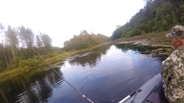 Порыбачили с батей на лесном озере... смотреть онлайн