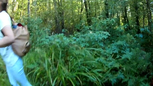 Николополье