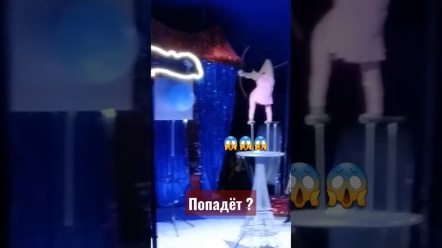 попадёт? сколько было попыток ? смотреть онлайн